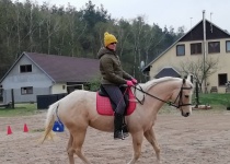 Kokoška